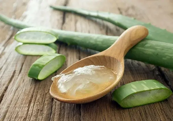 aloe vera mixture