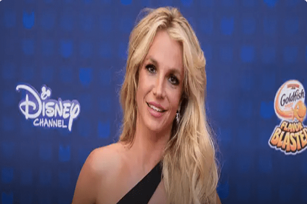 Britney Spears saw writing book as therapy