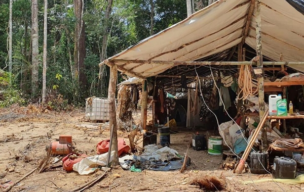 Malaria cases in Terra Yanomami