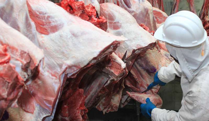 Brazil returns to exporting meat to Russia
