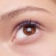 brow lift with botox lifts the eyes