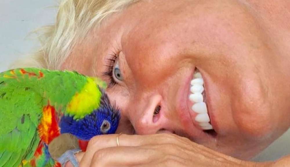 Fabiana Karla apologizes to Xuxa for comment after bird death