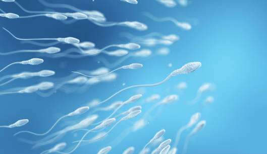 Scientists develop drug that paralyzes sperm similar to a male