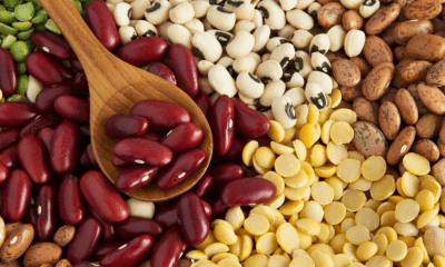 Ministry of Agriculture seizes beans unfit for consumption