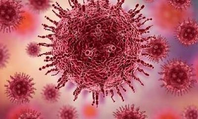 Bird flu symptoms in humans: What are they?
