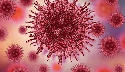 Bird flu symptoms in humans: What are they?