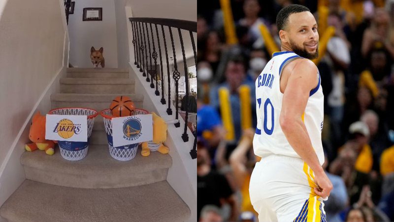 Lakers x Warriors: meet the NBA's 'seer dog'