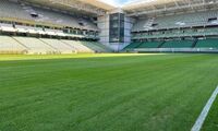 New lawn of Independência is inaugurated for the game between