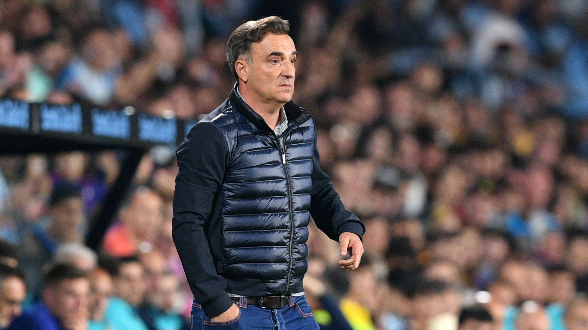 Carlos Carvalhal is also an option for Atlético-MG