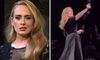 Adele threatens fans who try to throw something onstage during