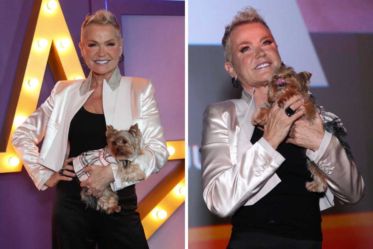 Doralice, the pet that never lets go of Xuxa, leads