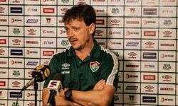 Fernando Diniz is denounced by the STJD for aggression against