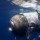 OceanGate suspends activities after Titan submarine tragedy