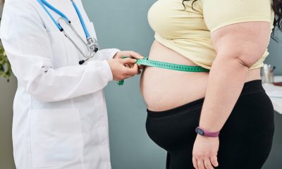 Study reveals surprising link between brain inflammation and obesity