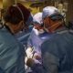 Brazilian leads pig kidney transplant in human patient in the