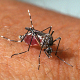 Dengue vaccination campaign has a list released by the Ministry