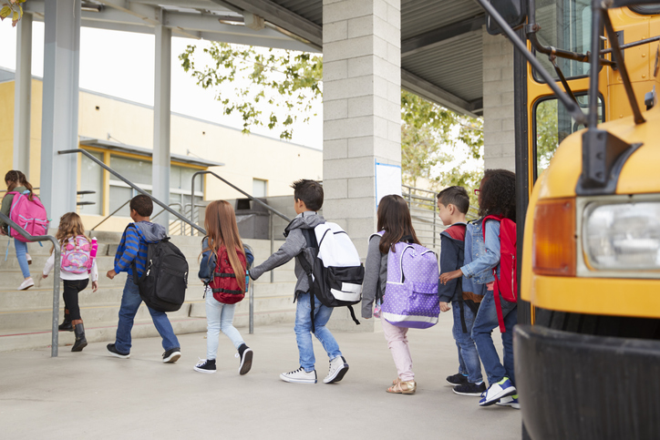 Find out how important safety is on school transport!