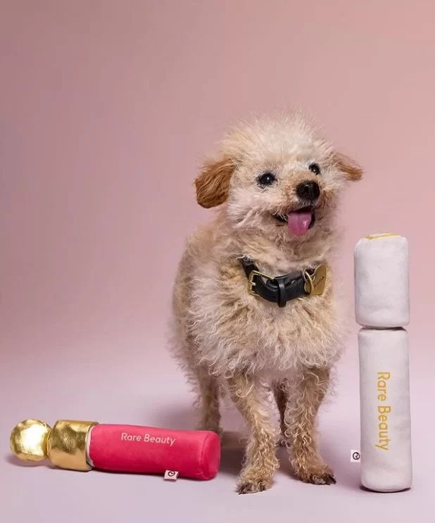 Rare Beauty launches products for pets after obtaining Cruelty Free certification (Photo: reproduction/Instagram/@rarebeauty) Lorena Bueri
