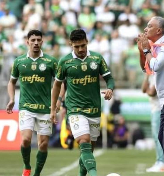 Palmeiras apologizes to Tite after being spat on by rival