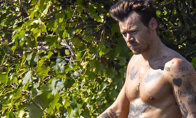 Harry Styles shocks fans by showing off toned body while