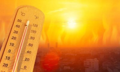High temperatures cause 48 deaths in Mexico