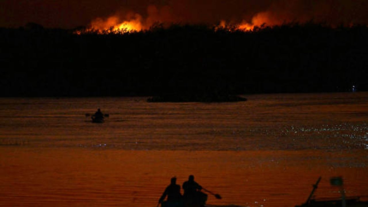 PF creates office to investigate fires in the Pantanal of