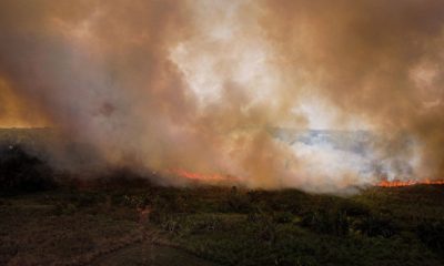 Amazonas records historic record of fires in July 2024